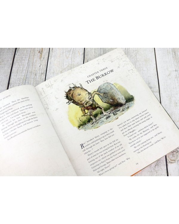 Harry Potter and the Chamber of Secrets. Illustrated