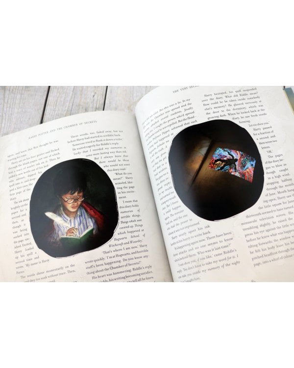 Harry Potter and the Chamber of Secrets. Illustrated