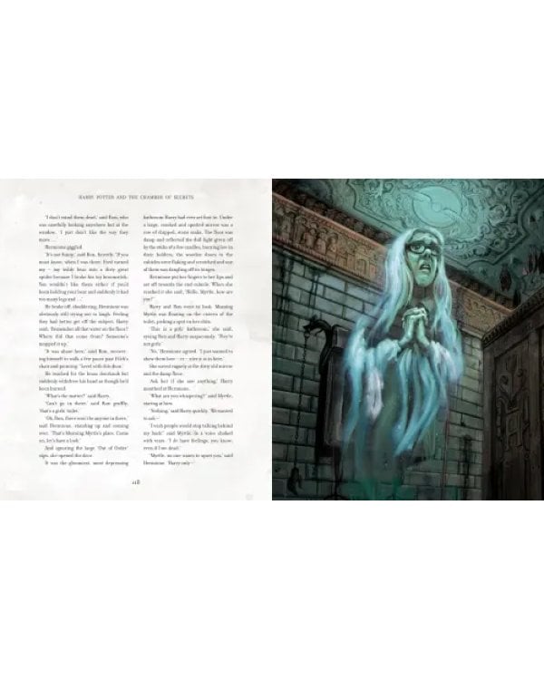 Harry Potter and the Chamber of Secrets. Illustrated