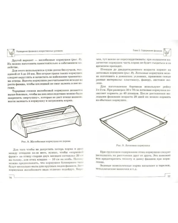 Разведение фазанов в искусственных условиях