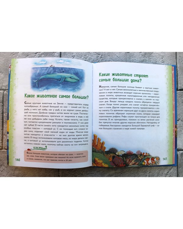 Миллион вопросов о земле и космосе, путешественниках и рекордах и самых разных любопытных вещах