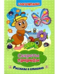 Слогочиталка. Секреты природы. Рассказы о букашках. ФГОС ДО