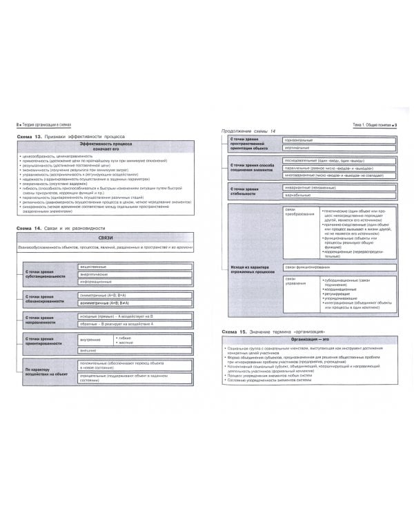 Теория организации в схемах. Учебное пособие