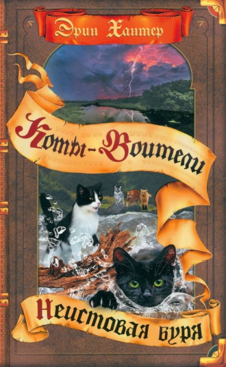 Коты-воители. Видение теней Неистовая буря