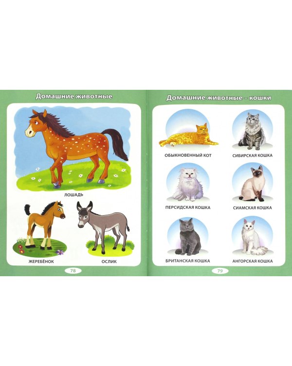 Детская энциклопедия для тех, кто еще не читает