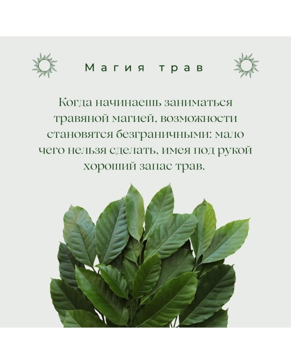 Магия трав. Древние практики исцеления травами