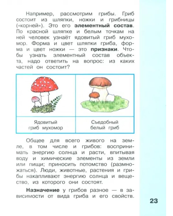 Информатика. 3 класс. Учебник. В 2-х частях. ФГОС