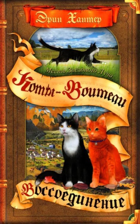 Коты-воители. Месть Звездного Луча Месть Звездного Луча. Воссоединение