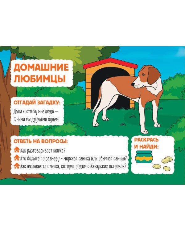 Домашние животные