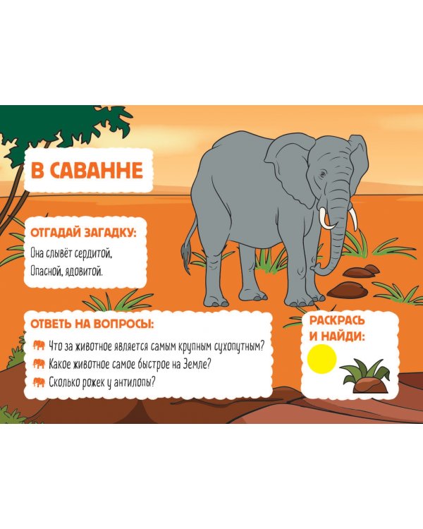 Дикие животные