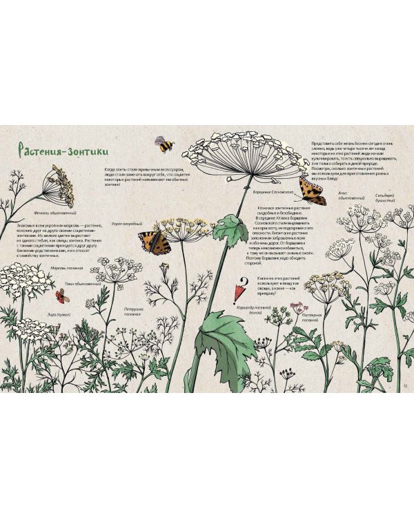 Книга про зонтики