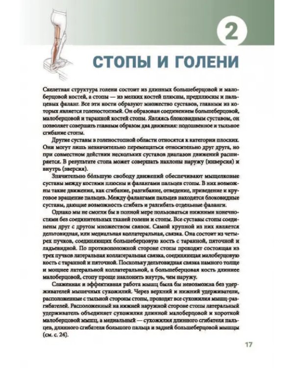 Анатомия упражнений на растяжку. Новейшая редакция