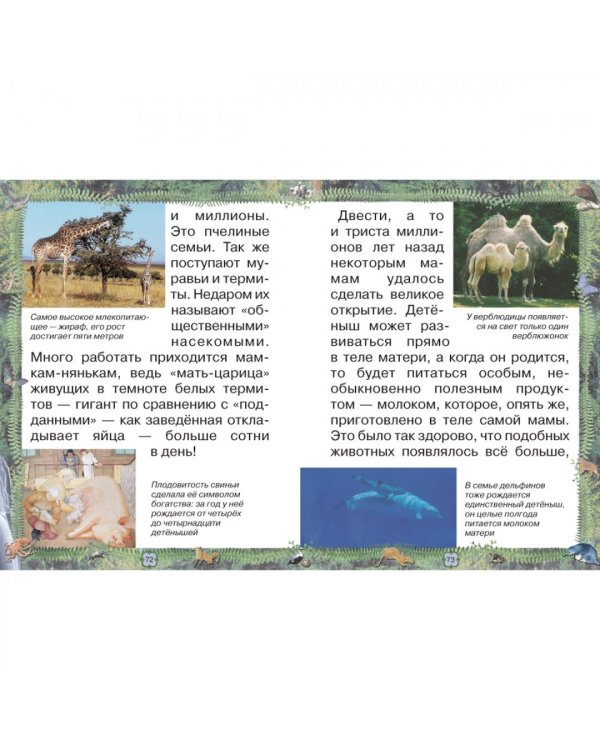Зоопарк большой планеты
