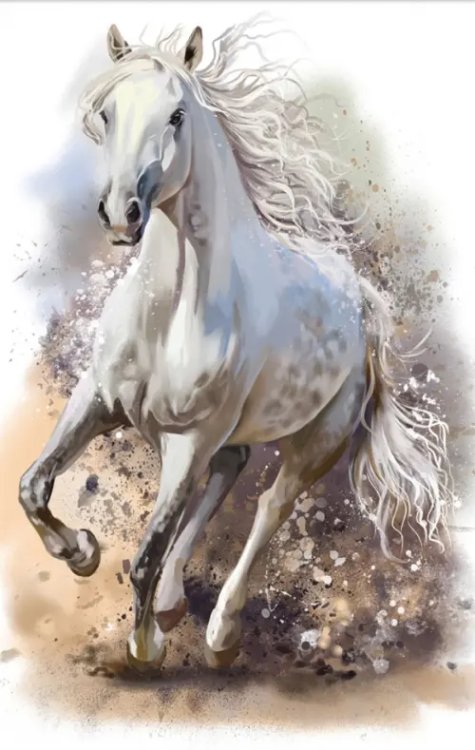 Картины для раскрашивания по номерам Раскрашивание по номерам Панно на подвесе. Быстрее ветра