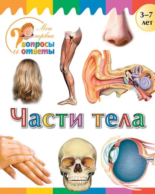 Вопросы и ответы Части тела