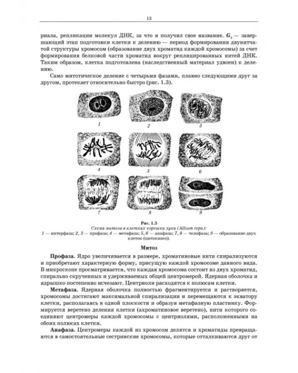 Генетика. Руководство к практическим занятиям