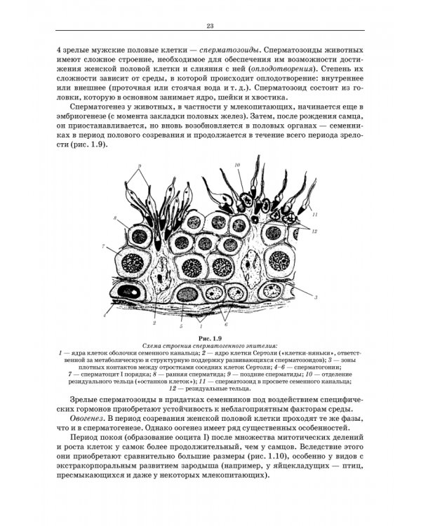 Генетика. Руководство к практическим занятиям