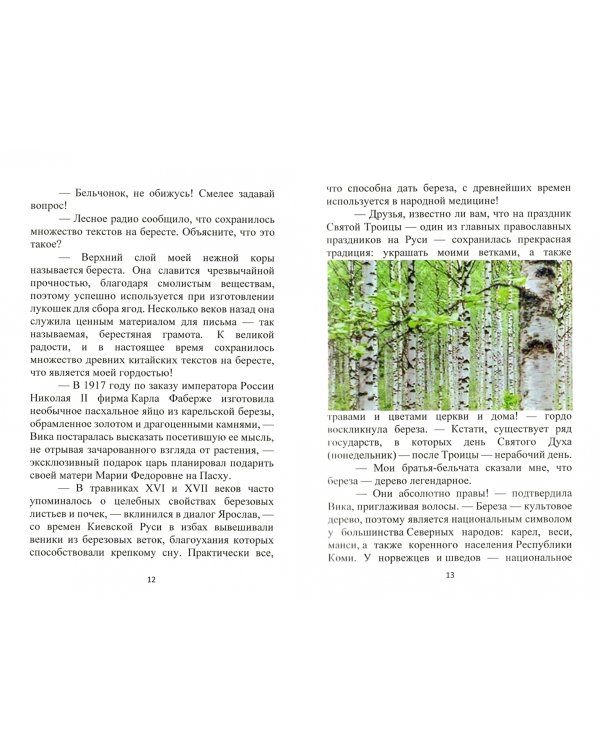 Тайны сказочного леса