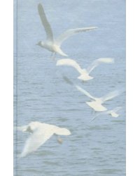 В новом веке