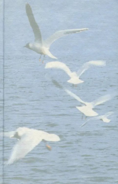 Русские поэты В новом веке