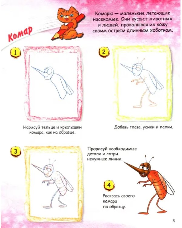 Насекомые