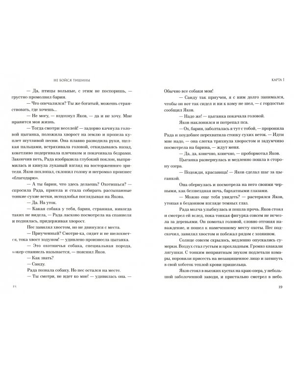 Не бойся тишины