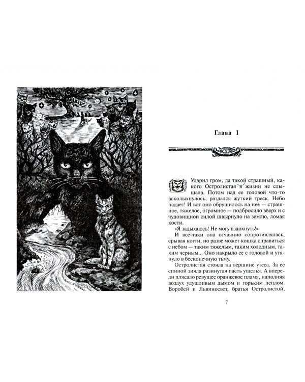 Нерассказанные истории. История Остролистой