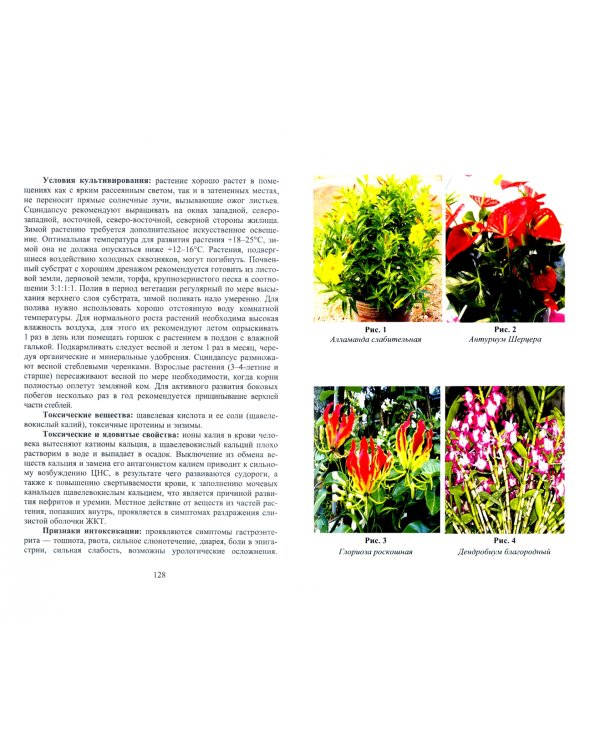 Комнатные ядовитые растения. Учебное пособие для вузов