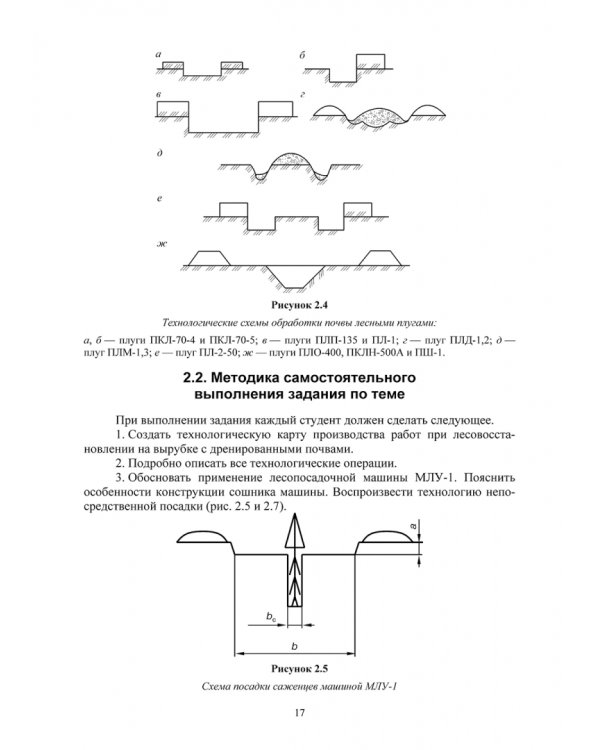 Механизация рубок ухода за лесом