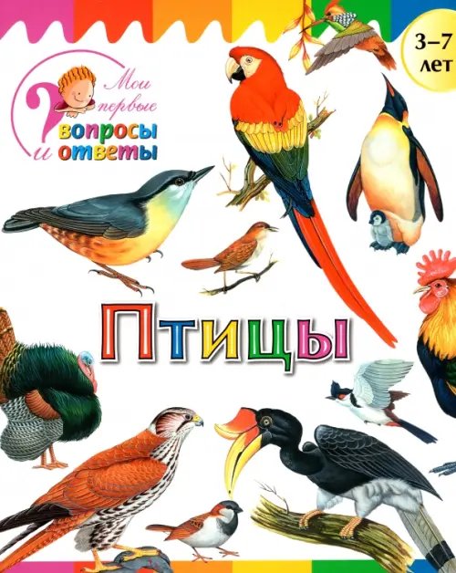 Вопросы и ответы Птицы