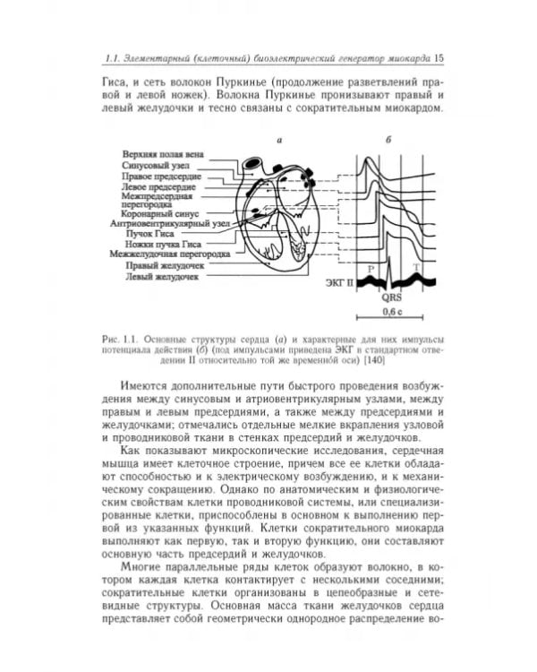 Дополнительное изображение книги «Биофизические основы электрокардиотопографических методов»