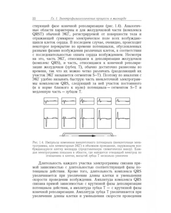 Дополнительное изображение книги «Биофизические основы электрокардиотопографических методов»