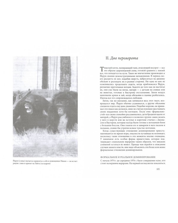Дополнительное изображение книги «Политика у шимпанзе. Власть и секс у приматов»