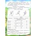 Наши спортивные достижения. 2-4 классы