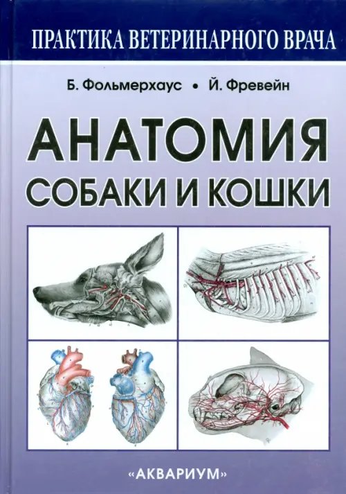 Анатомия собаки и кошки