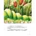 Крошка Букашка всем помогает! Сказки про дружбу. Книга для первого чтения