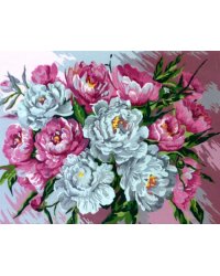 Рисование по номерам. Нежные пионы