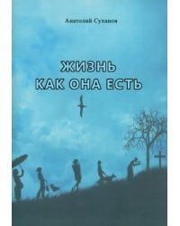 Жизнь как она есть