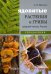 Ядовитые растения и грибы средней полосы. Иллюстрированный справочник
