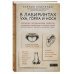 В лабиринтах уха, горла и носа. Скрытые механизмы работы, неочевидные взаимосвязи и полезные знания,
