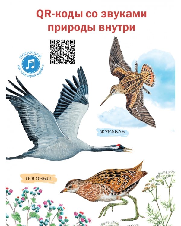 Рассказы о природе