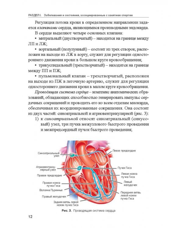 Заболевания спортсменов. Учебник