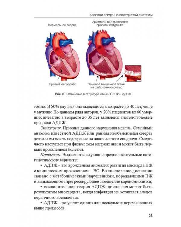 Заболевания спортсменов. Учебник