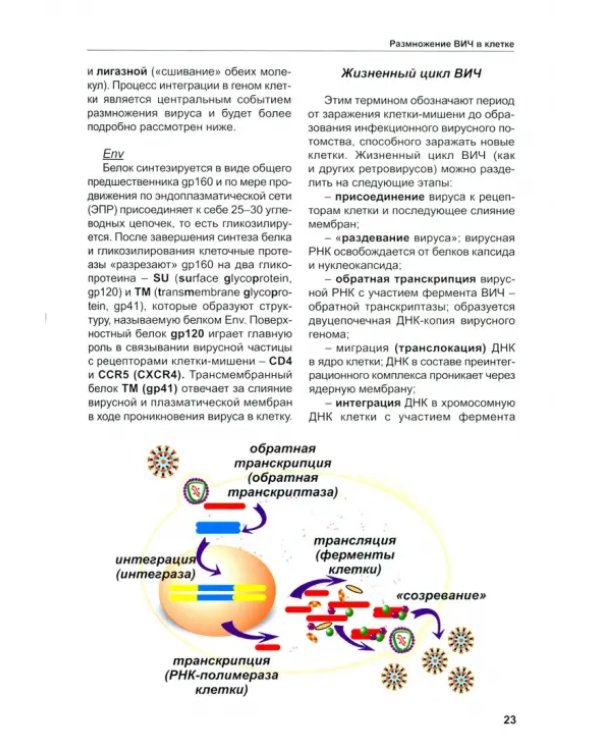 Латентность ВИЧ