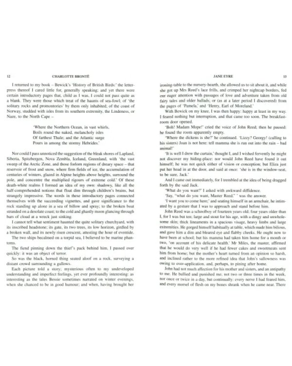 Дополнительное изображение книги «Jane Eyre»