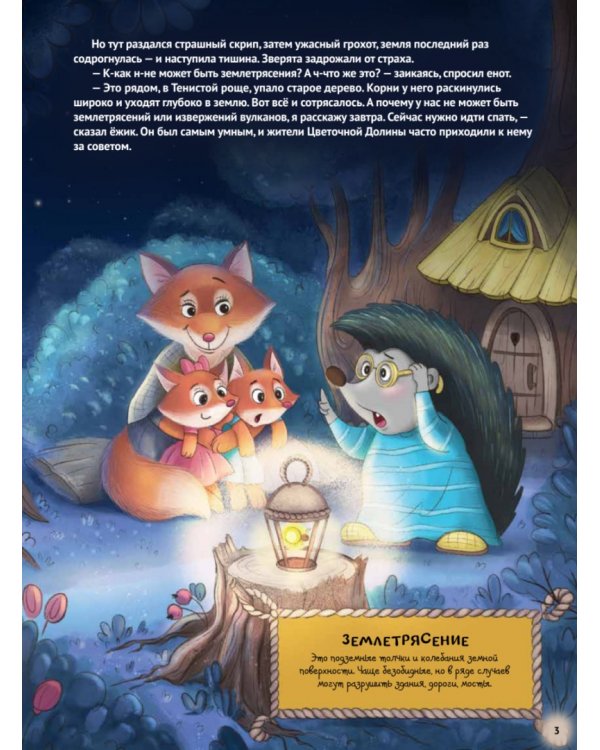 Любопытный енотик Тим! Почему Земля круглая, внутри горячая, а снаружи неровная? Книжка подготовишки