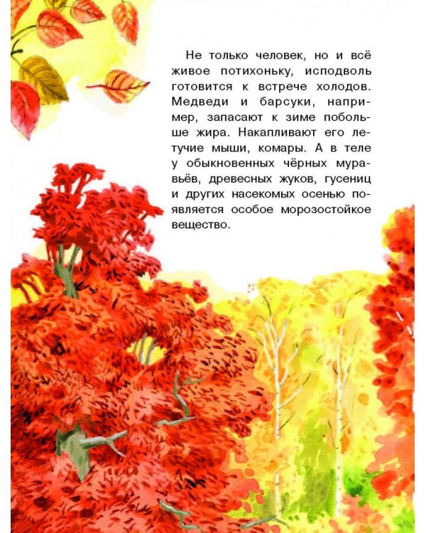 Почему желтеют листья?