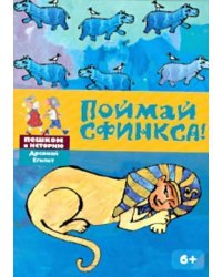 Поймай Сфинкса: познавательная карточная игра