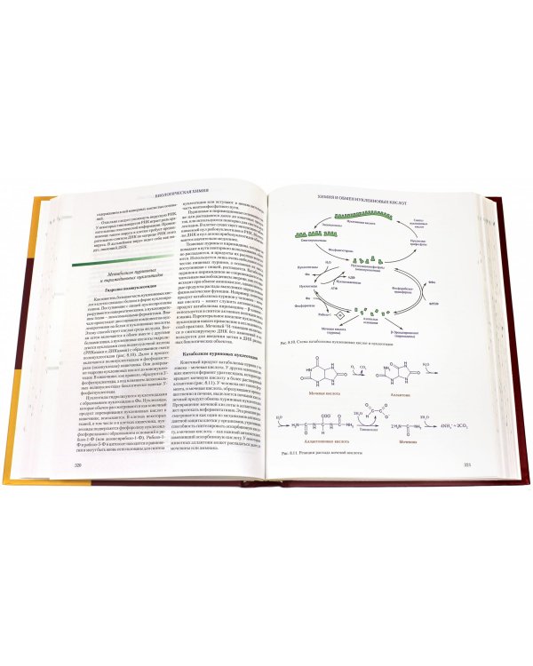 Биологическая химия. Учебник
