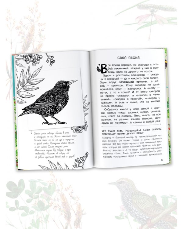 Бюро лесных услуг